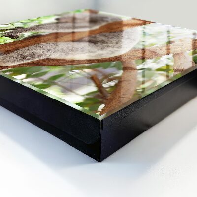 Schlüsselbox für die Wand mit Koala-Design