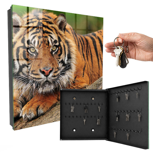 Schlüsselbox mit dem Motiv Der Tiger ruht