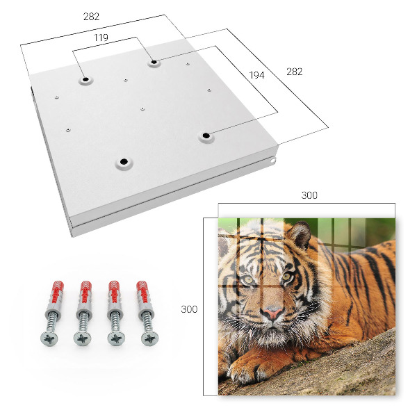 Schlüsselbox mit dem Motiv Der Tiger ruht