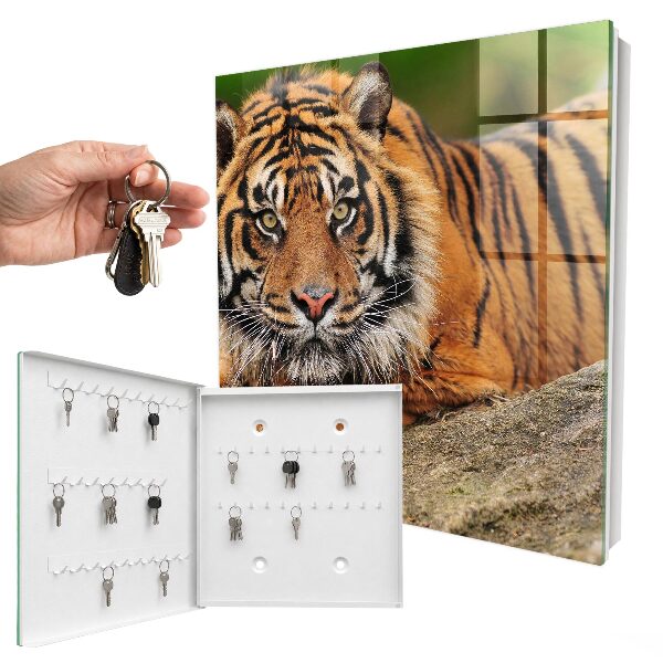 Schlüsselbox mit dem Motiv Der Tiger ruht