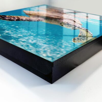Schlüsselkasten mit Motiv Unterwasserwelt