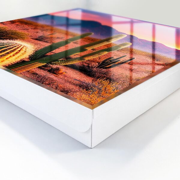 Schlüsselbox für die Wandmontage Wüstenwesten Modell
