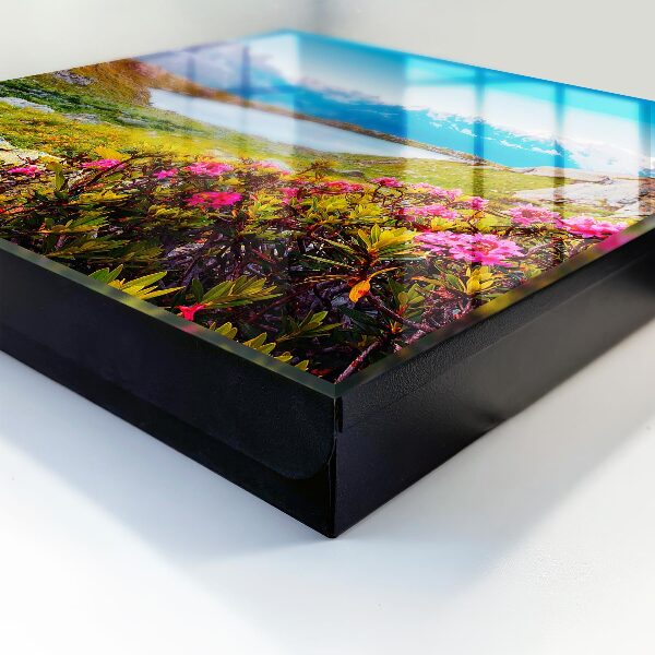 Schlüsselbox für die Wand mit Berglandschaft Motiv