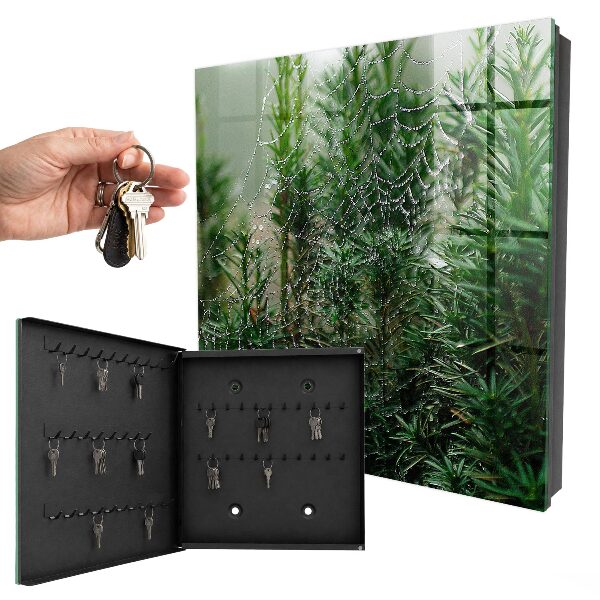Schlüsselbox für die Wand mit Motiv Spinnennetz im Wald