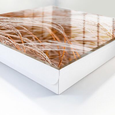 Schlüsselbox für die Wand im Design Kleine Gräser