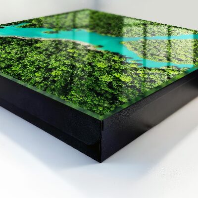 Schlüsselbox in Grünem Paradies Design