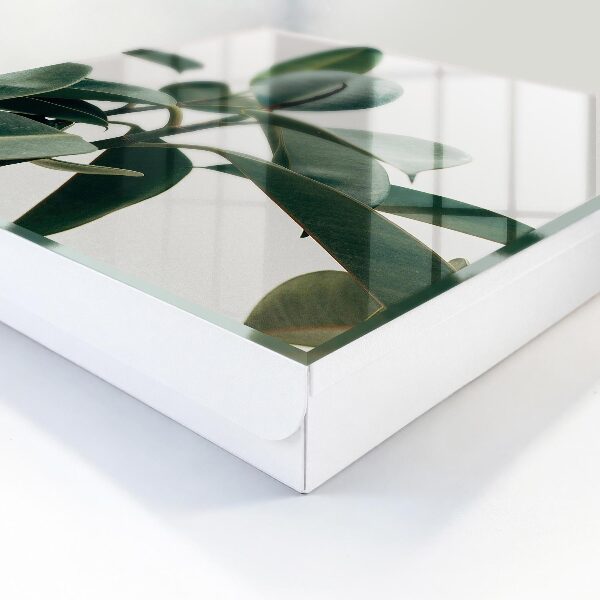 Schlüsselbox zur Wandmontage mit Motiv Ficusblätter