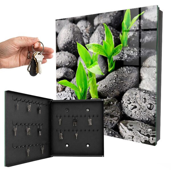 Schlüsselbox für die Wand in Grün mit Naturmotiv