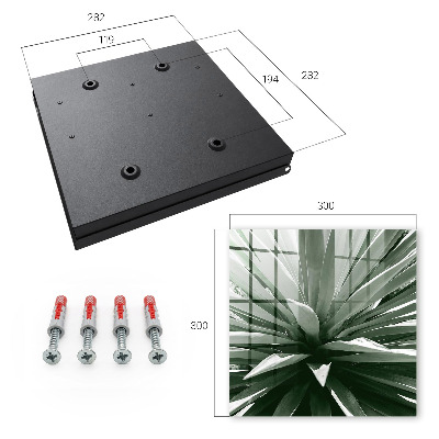 Schlüsselbox für die Wand Modell Agave