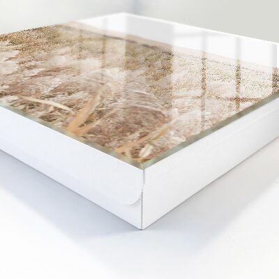 Schlüsselbox zur Wandmontage Design Wüstenharmonie
