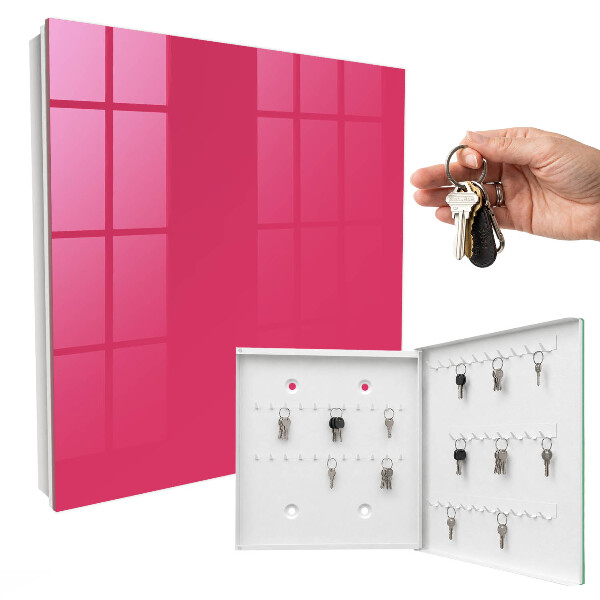 Schlüsselbox in Energetischem Rosa