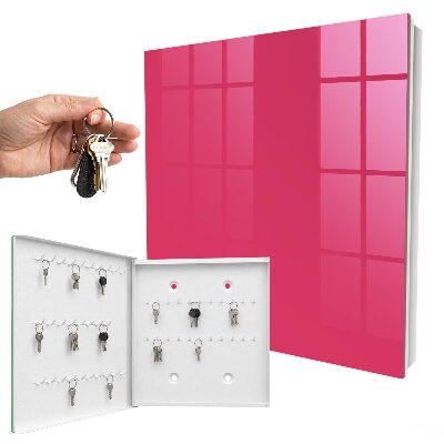 Schlüsselbox in Energetischem Rosa