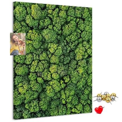 Bedruckte Korkplatte mit Motiv Grüner Wald aus der Vogelperspektive