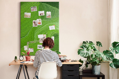 Pinnwand grüne Wellen mit zarten Linien