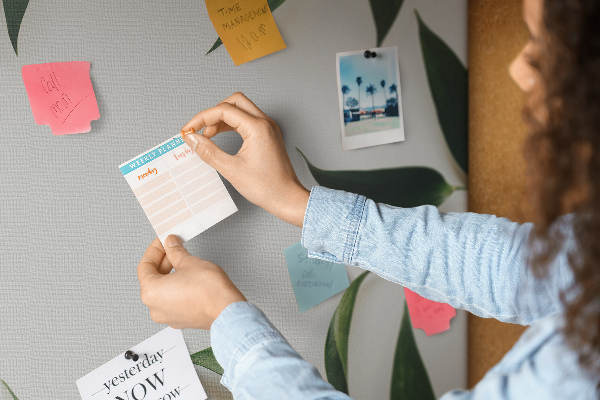 Bild mit Korkrückwand Blätter in einem zarten, minimalistischen Arrangement