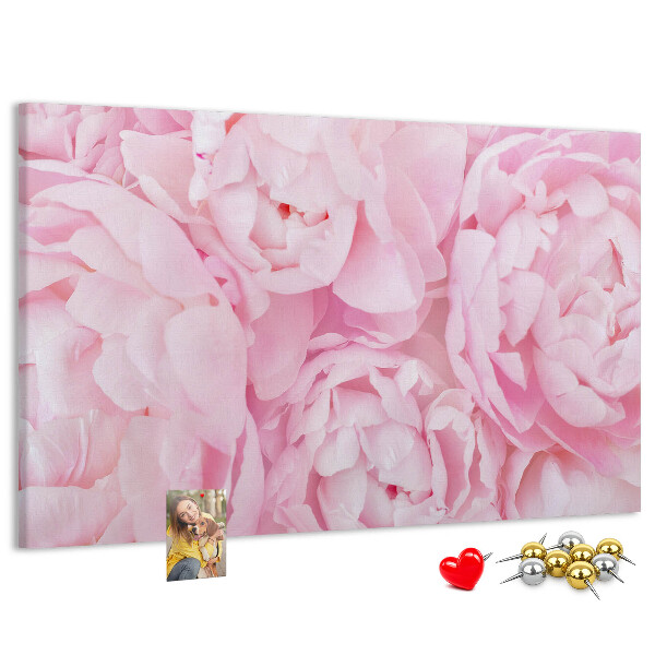 Bild mit Korkrückwand rosa Pfingstrosen in einem zarten Farbton