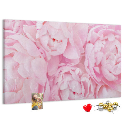 Bild mit Korkrückwand rosa Pfingstrosen in einem zarten Farbton
