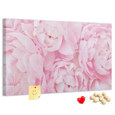 Bild mit Korkrückwand rosa Pfingstrosen in einem zarten Farbton