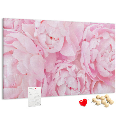 Bild mit Korkrückwand rosa Pfingstrosen in einem zarten Farbton