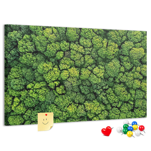 Wandbild mit Korkrückwand grüner Wald mit dichter Vegetation
