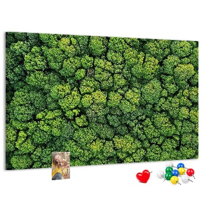 Wandbild mit Korkrückwand grüner Wald mit dichter Vegetation