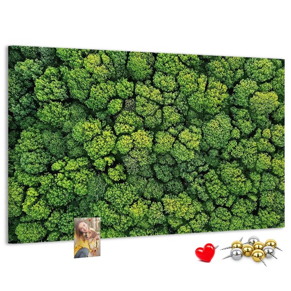 Wandbild mit Korkrückwand grüner Wald mit dichter Vegetation