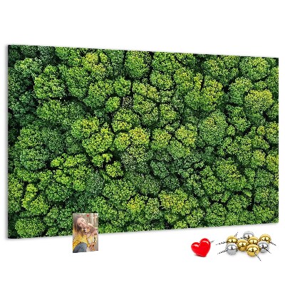 Wandbild mit Korkrückwand grüner Wald mit dichter Vegetation