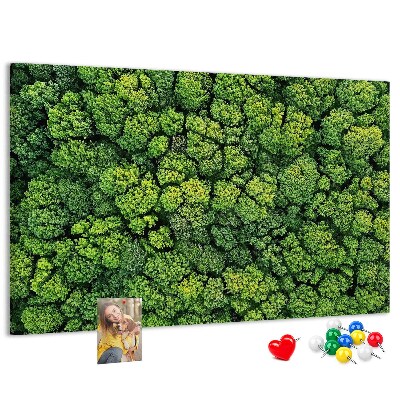 Wandbild mit Korkrückwand grüner Wald mit dichter Vegetation