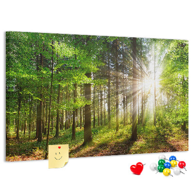 Korktafel mit dem Motiv Sonnenstrahlen im grünen Wald
