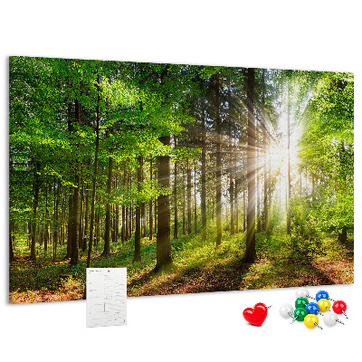 Korktafel mit dem Motiv Sonnenstrahlen im grünen Wald