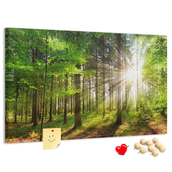 Korktafel mit dem Motiv Sonnenstrahlen im grünen Wald