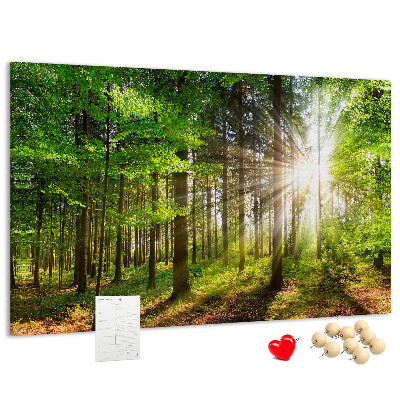 Korktafel mit dem Motiv Sonnenstrahlen im grünen Wald