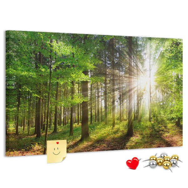 Korktafel mit dem Motiv Sonnenstrahlen im grünen Wald