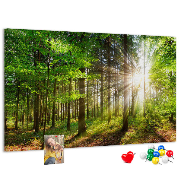 Korktafel mit dem Motiv Sonnenstrahlen im grünen Wald