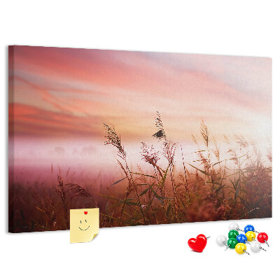 Korktafel mit Motiv Sonnenuntergang über einem grasbewachsenen Feld