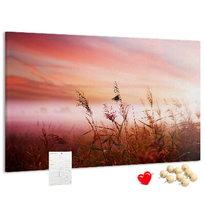 Korktafel mit Motiv Sonnenuntergang über einem grasbewachsenen Feld
