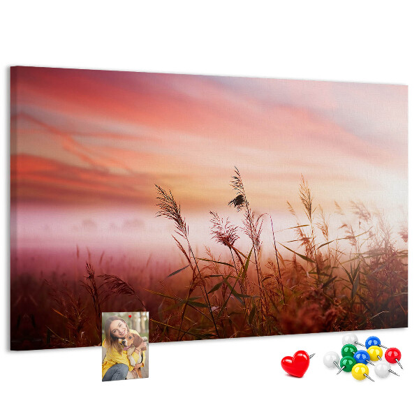 Korktafel mit Motiv Sonnenuntergang über einem grasbewachsenen Feld