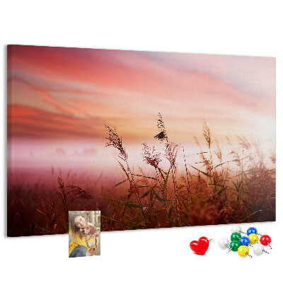 Korktafel mit Motiv Sonnenuntergang über einem grasbewachsenen Feld