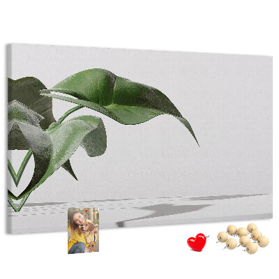 Kork-Pinnwand zarte Blätter auf minimalistischem Hintergrund