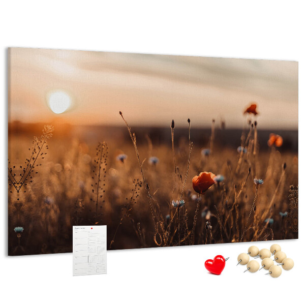 Korktafel mit Motiv Goldenes Mohnfeld im Sonnenuntergang