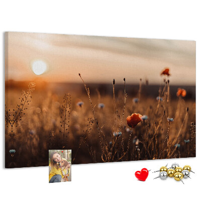 Korktafel mit Motiv Goldenes Mohnfeld im Sonnenuntergang