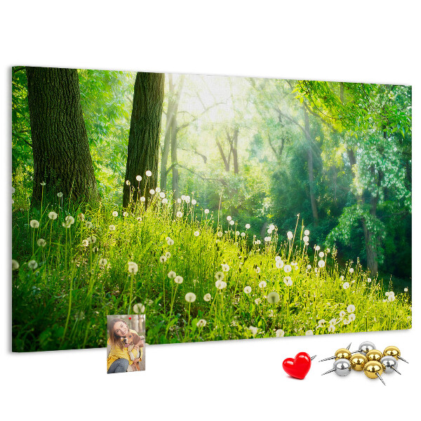 Korktafel grüner Wald mit blühenden Löwenzahnblüten