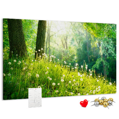 Korktafel grüner Wald mit blühenden Löwenzahnblüten