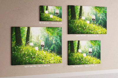 Korktafel grüner Wald mit blühenden Löwenzahnblüten