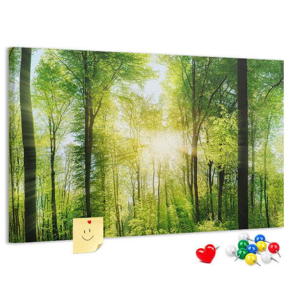 Bild mit Korkrückwand Grüner Wald mit Sonnenstrahlen