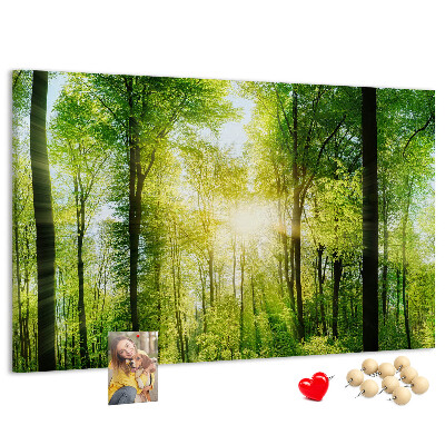 Bild mit Korkrückwand Grüner Wald mit Sonnenstrahlen