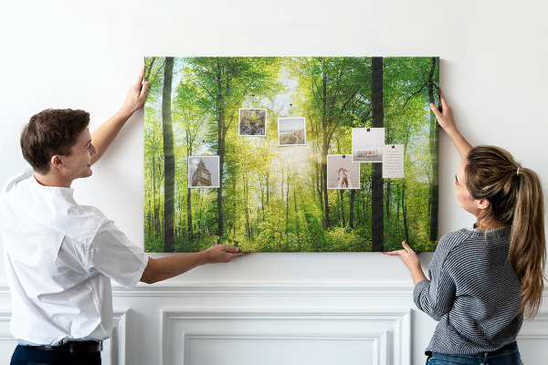 Bild mit Korkrückwand Grüner Wald mit Sonnenstrahlen
