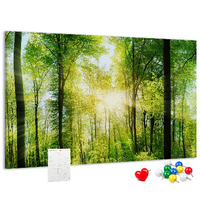 Bild mit Korkrückwand Grüner Wald mit Sonnenstrahlen