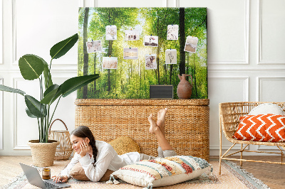 Bild mit Korkrückwand Grüner Wald mit Sonnenstrahlen