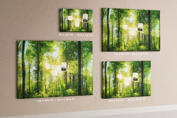 Bild mit Korkrückwand Grüner Wald mit Sonnenstrahlen